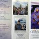 Stella's wish foundation
