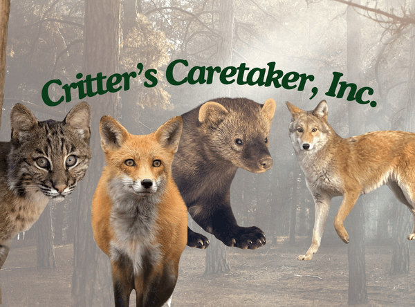 Critter’s Caretaker Inc.