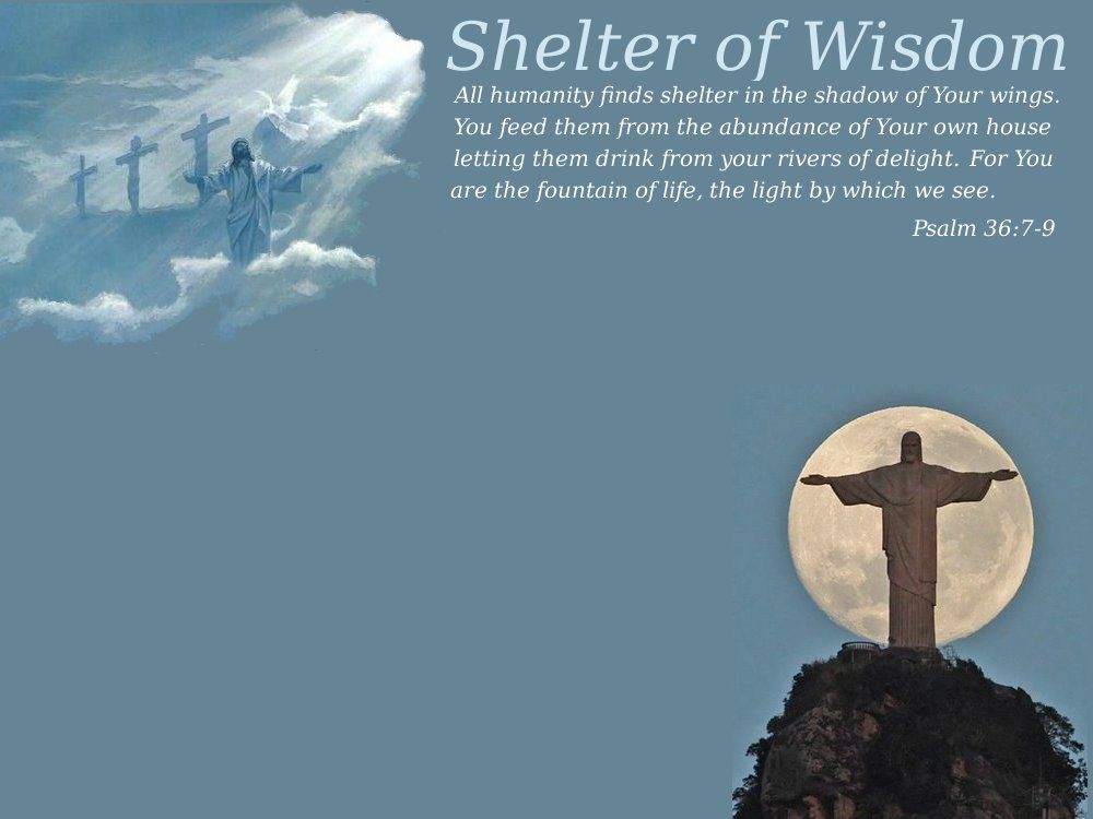 Shelter of Wisdom