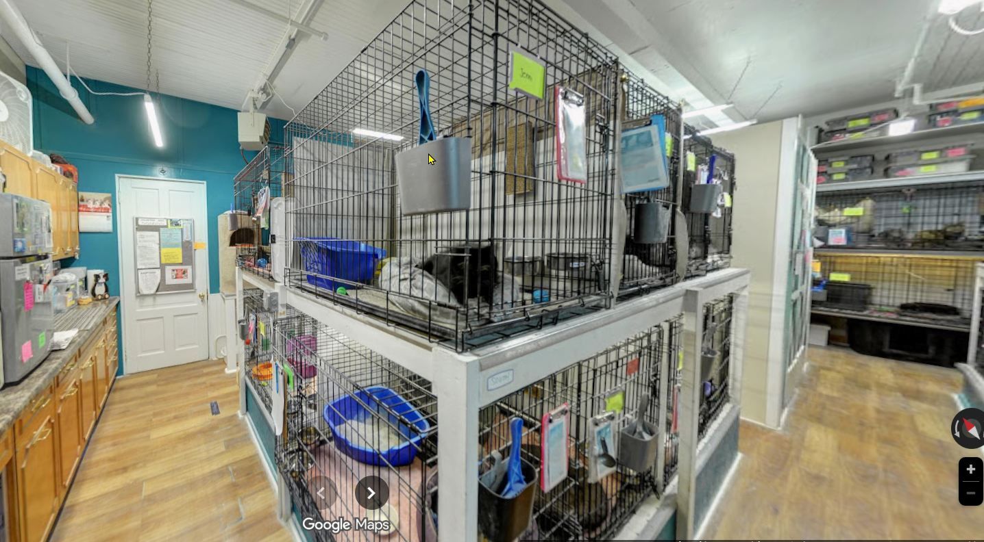 Touched By A Paw, LLC