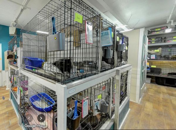 Touched By A Paw, LLC