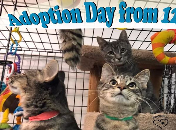 Touched By A Paw, LLC