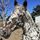 Bounds Horse Haven Sanctuary