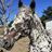 Bounds Horse Haven Sanctuary
