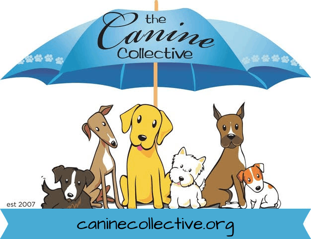 The Canine Collective