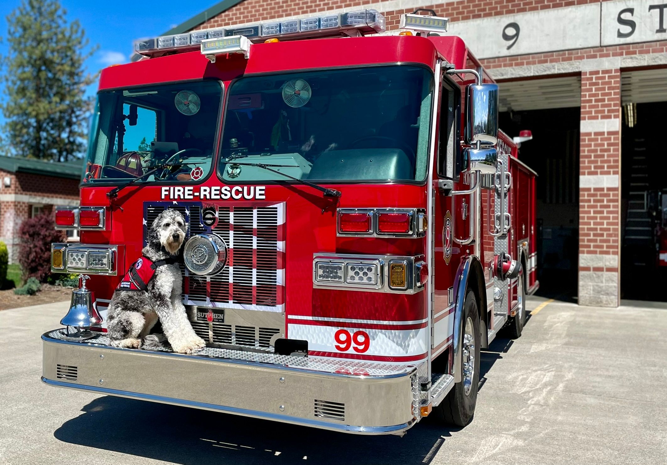 Service Peace Warriors