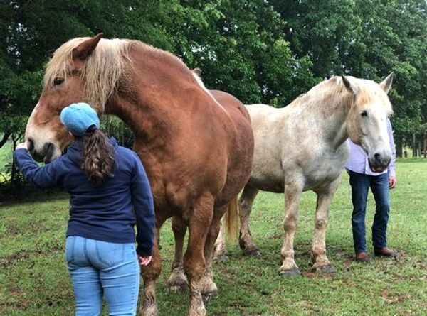 Soul to Sole Connection