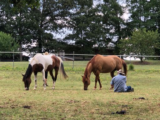 Soul to Sole Connection