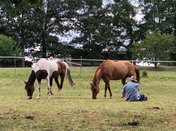 Soul to Sole Connection