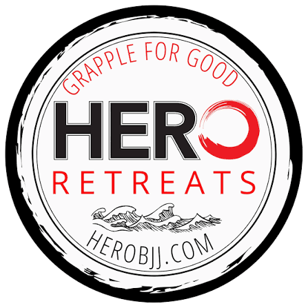 Hero Academy CR