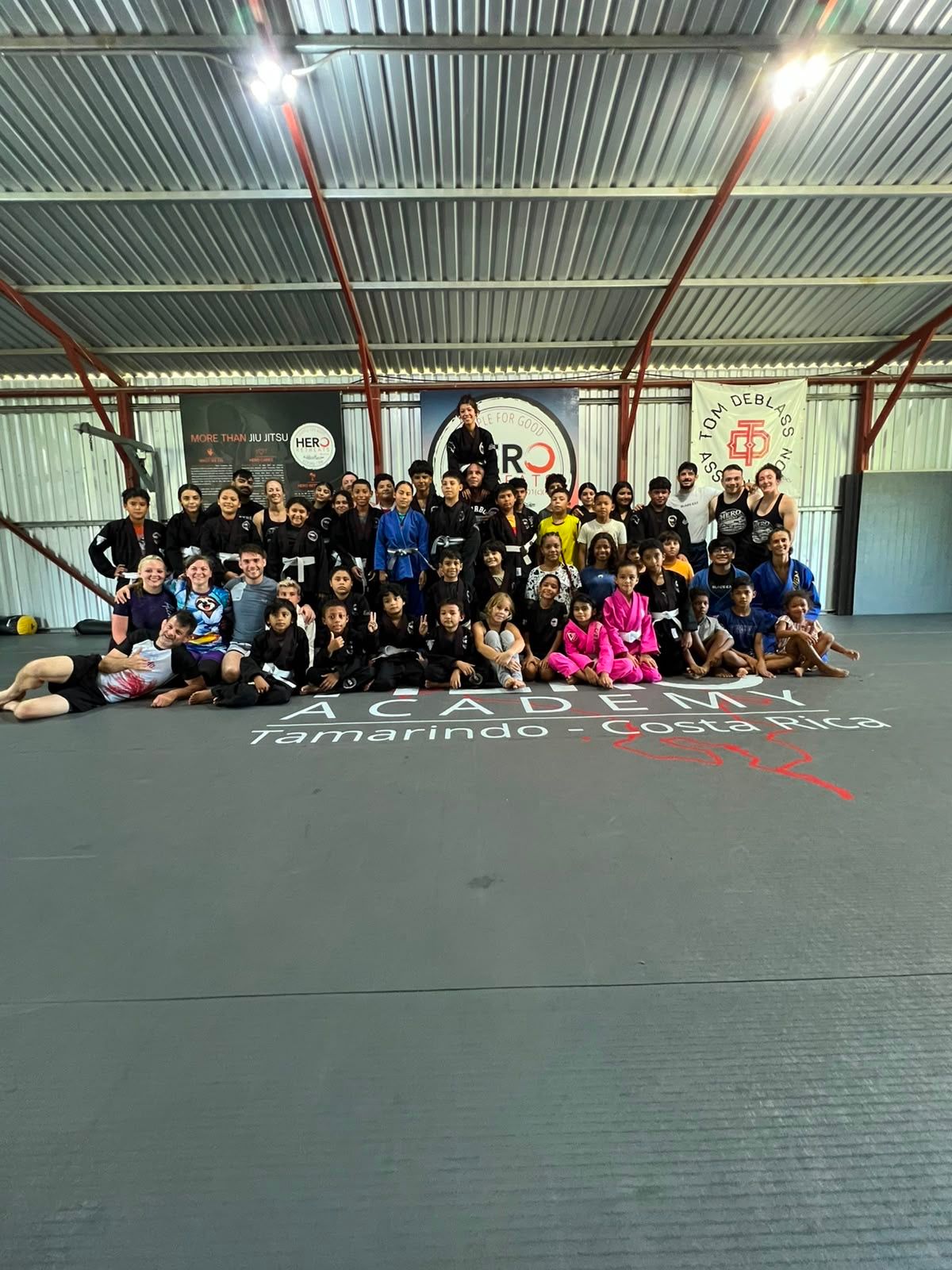 Hero Academy CR
