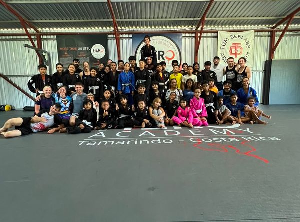 Hero Academy CR