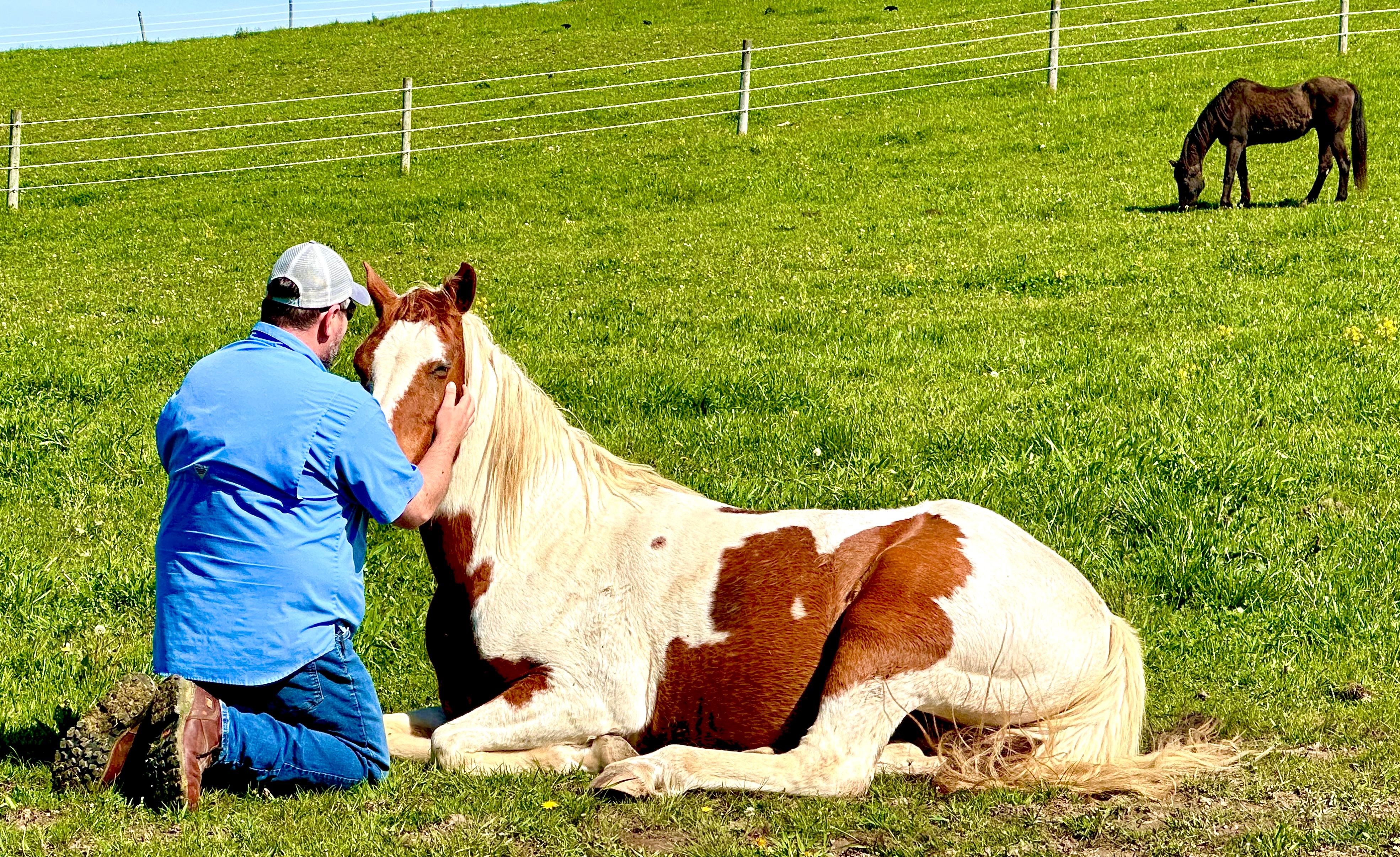 Southern Tier Alternative Therapies, Inc.