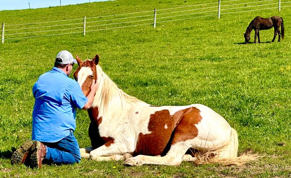 Southern Tier Alternative Therapies, Inc.