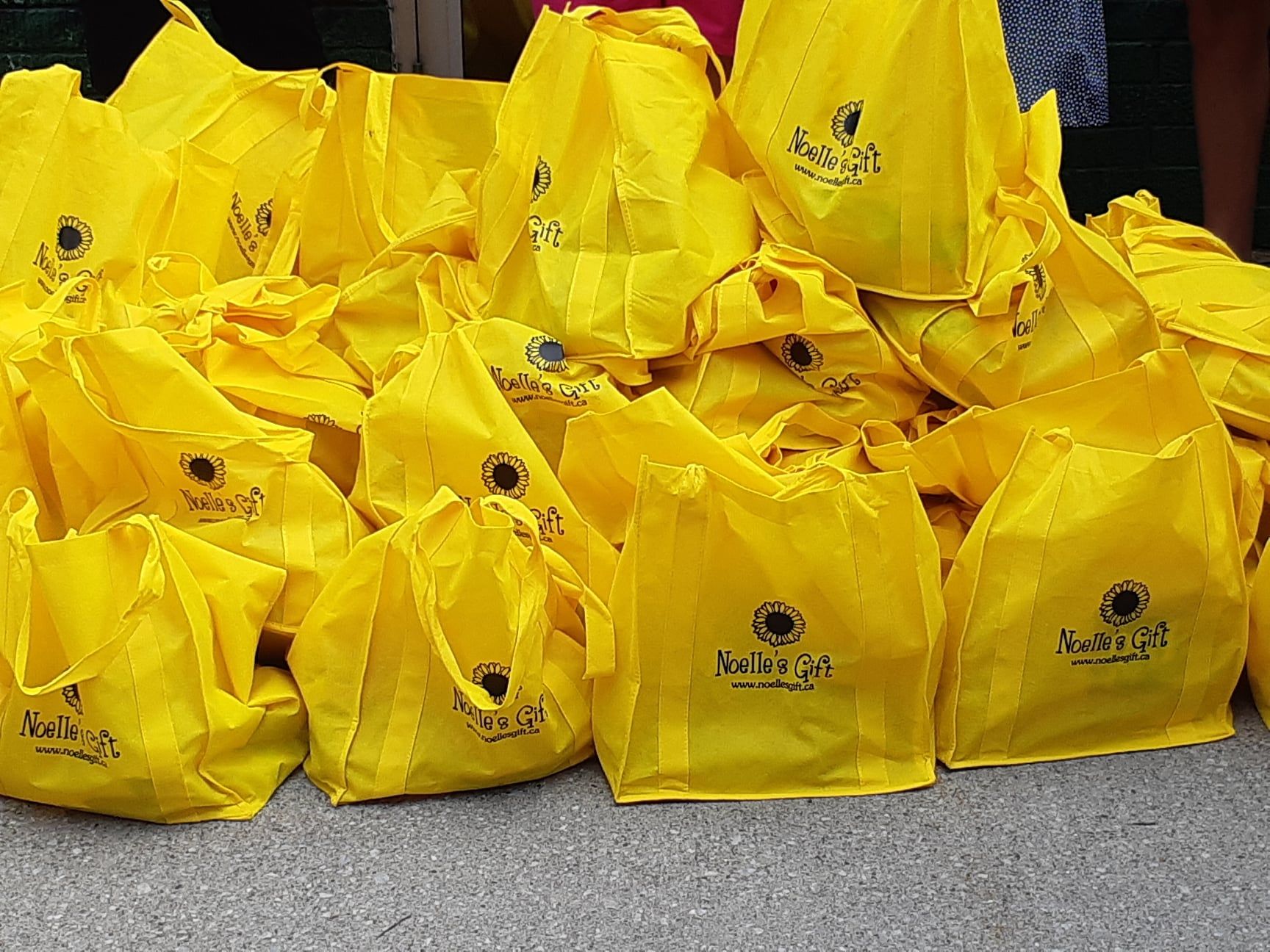 Noelle's Gift to children