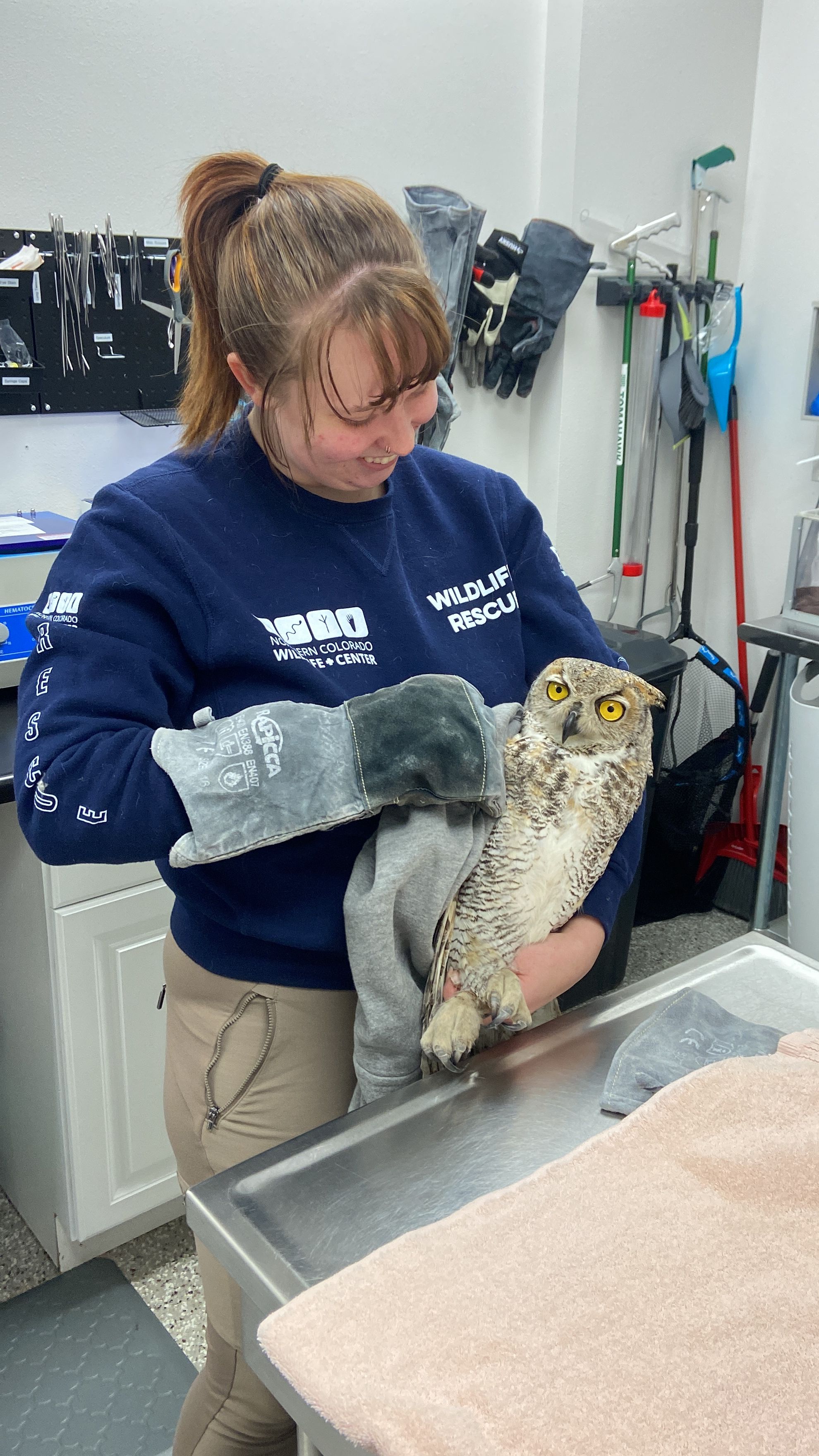Northern Colorado Wildlife Center