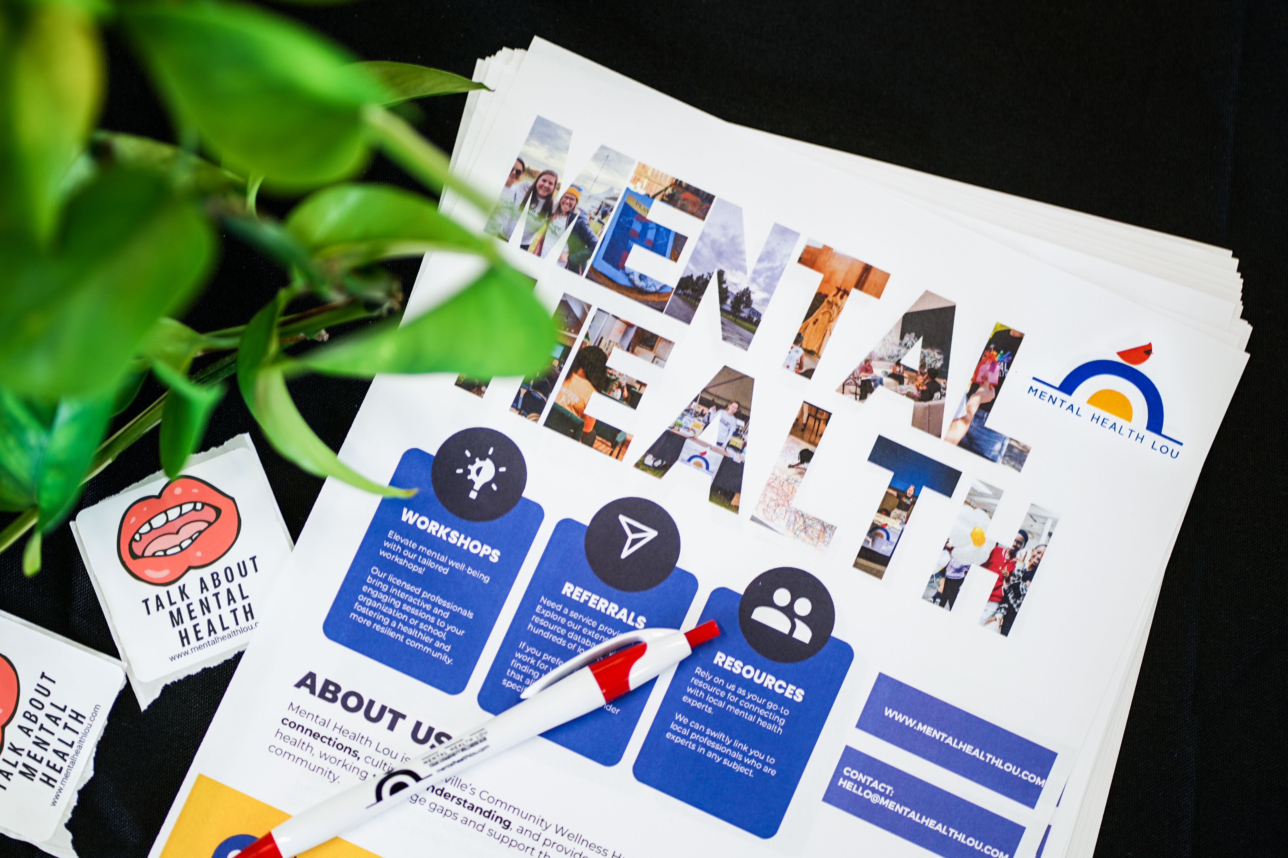 Mental Health Lou & You