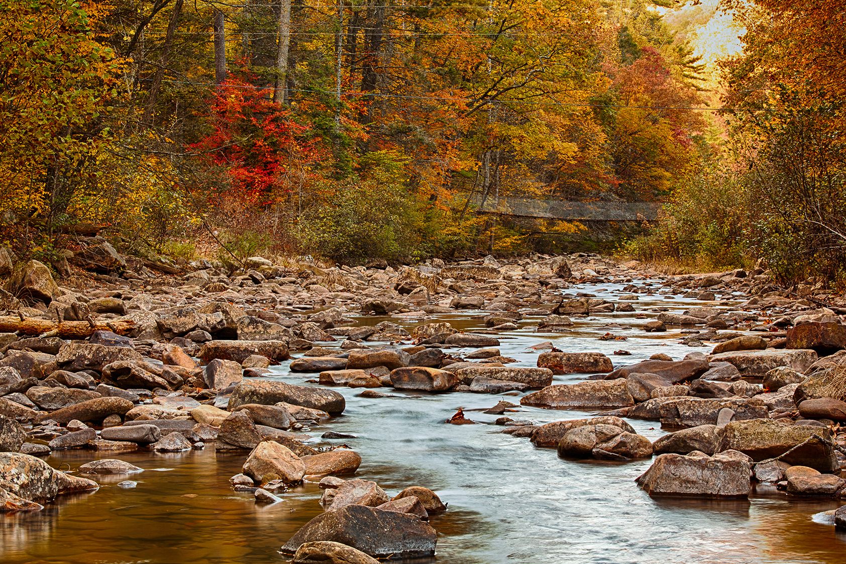 Alliance for the Shenandoah Valley