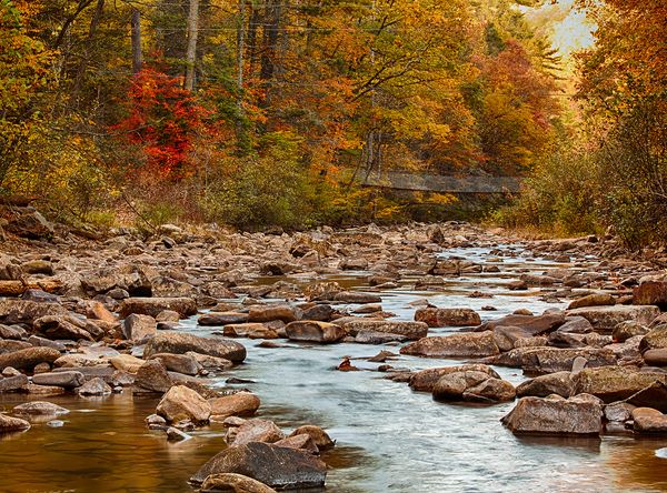 Alliance for the Shenandoah Valley