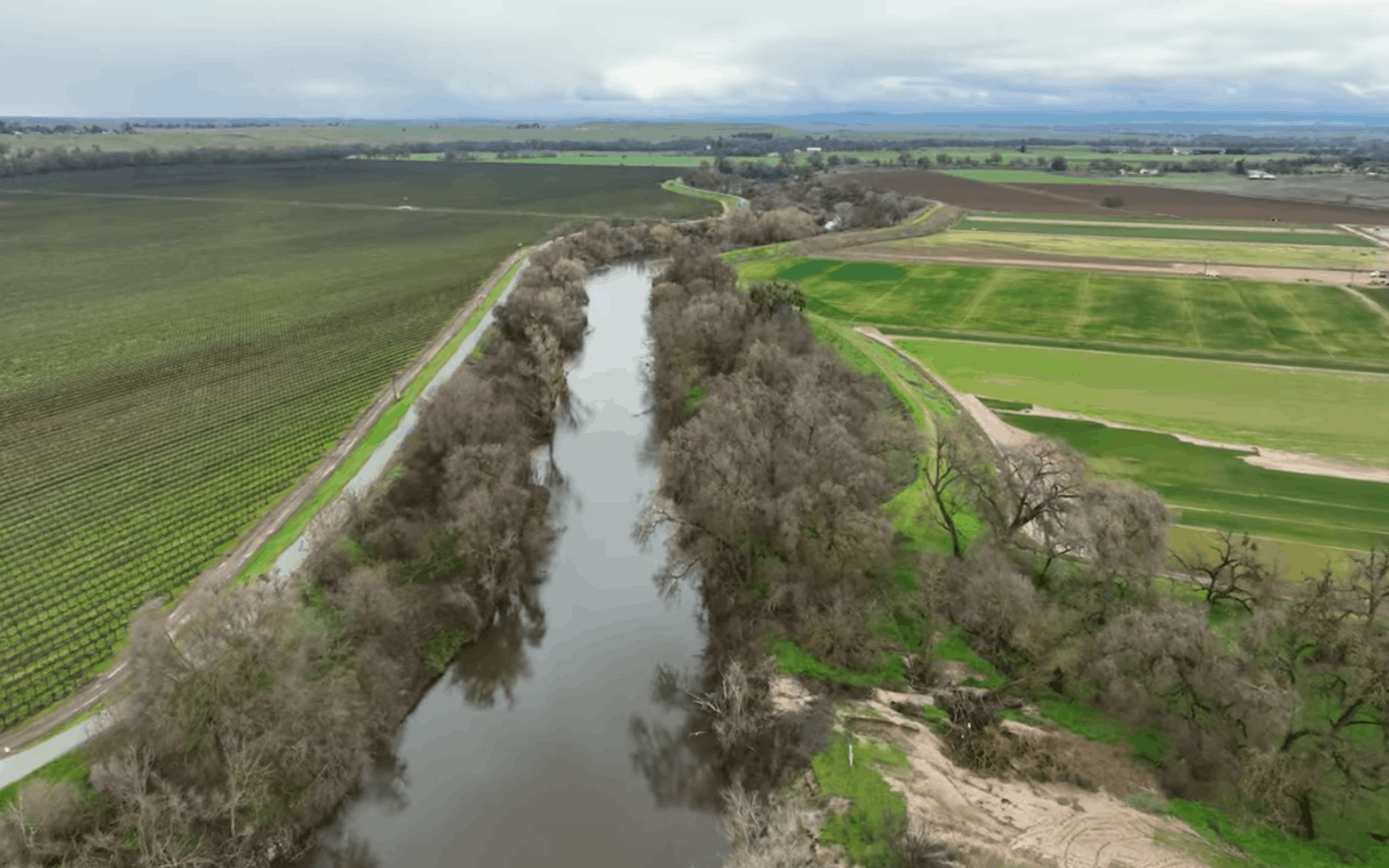 Sacramento Valley Conservancy