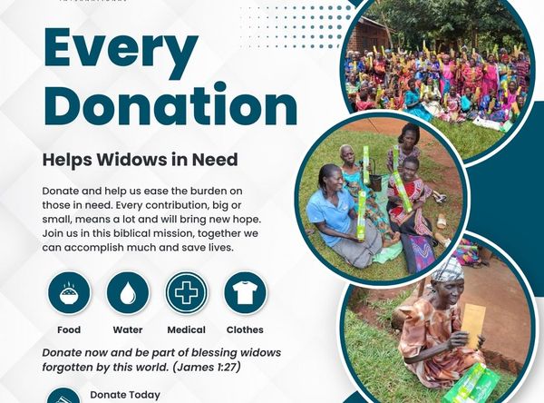 Mission Link International