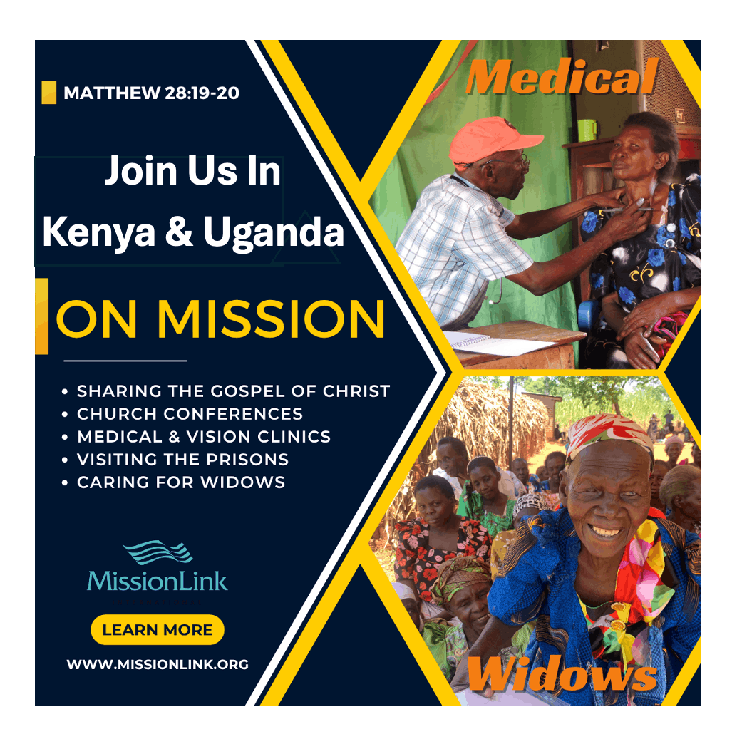 Mission Link International