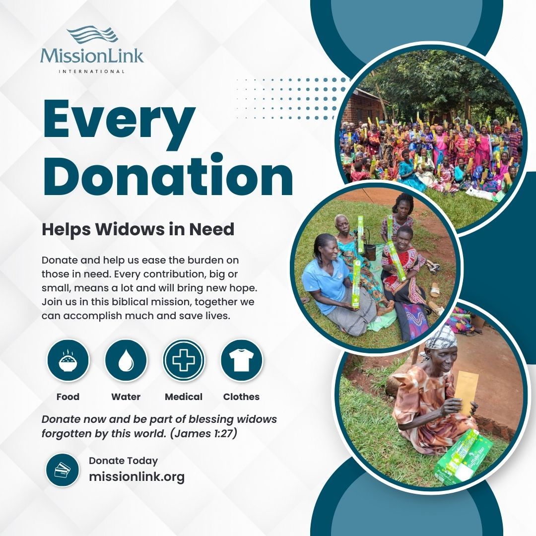 Mission Link International