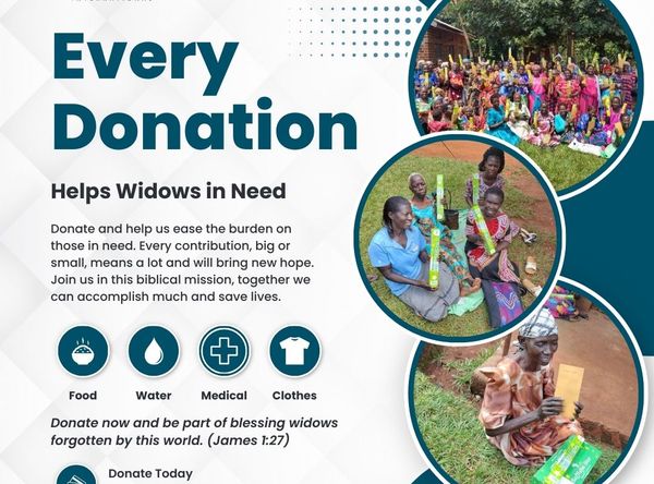 Mission Link International