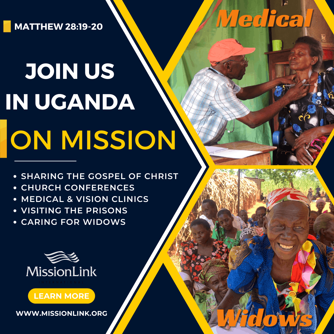 Mission Link International