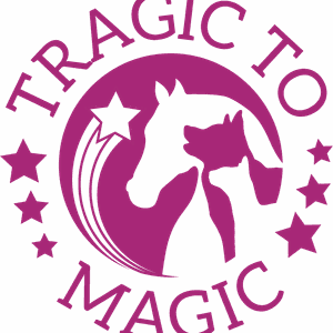 Tragic to Magic Inc