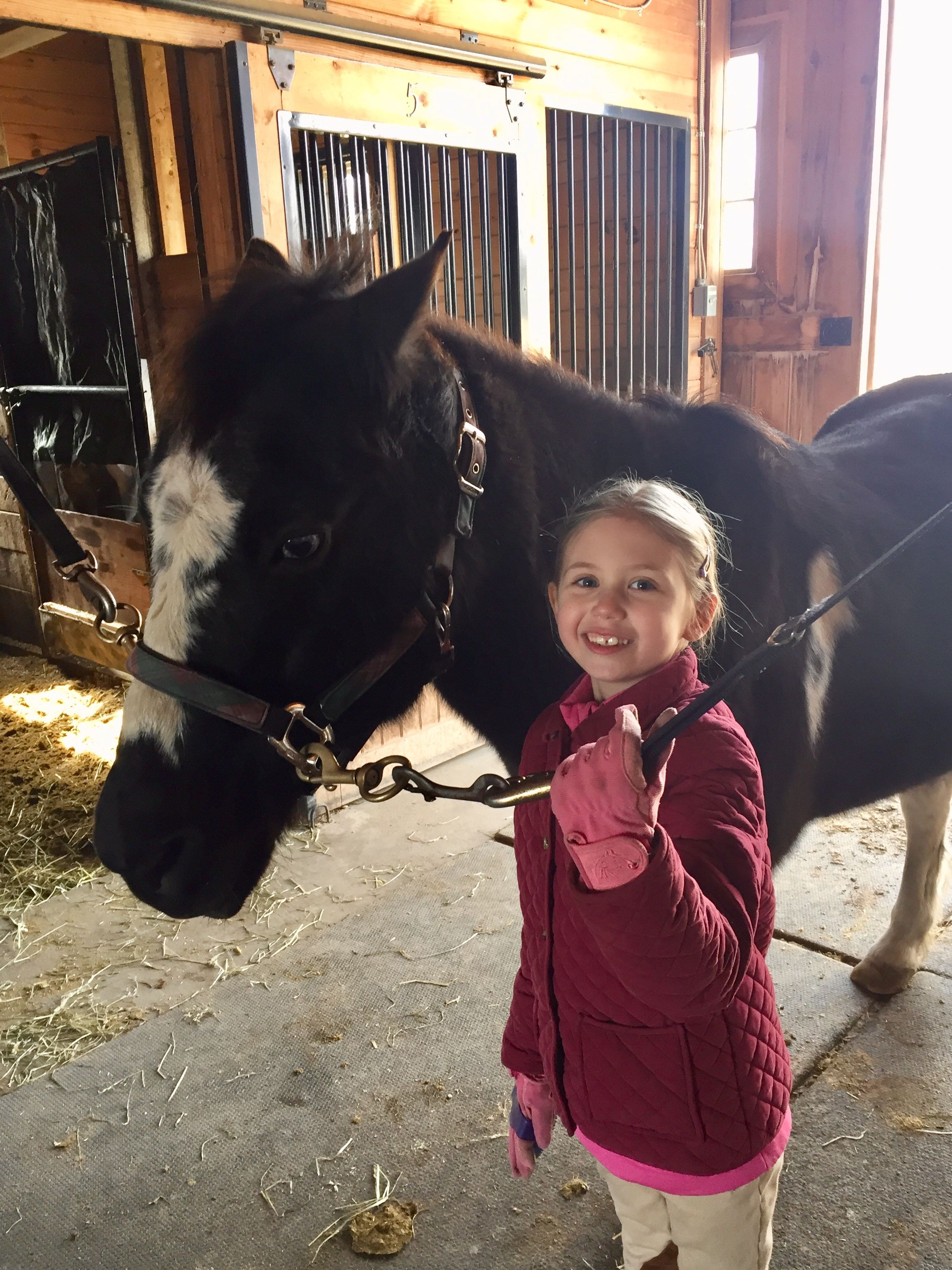 The Sophia Sunshine Foundation