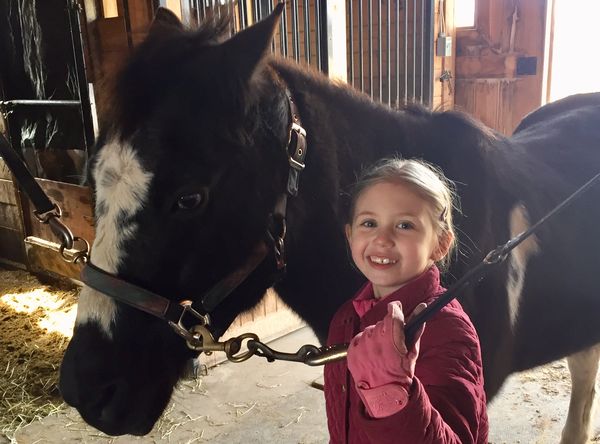 The Sophia Sunshine Foundation