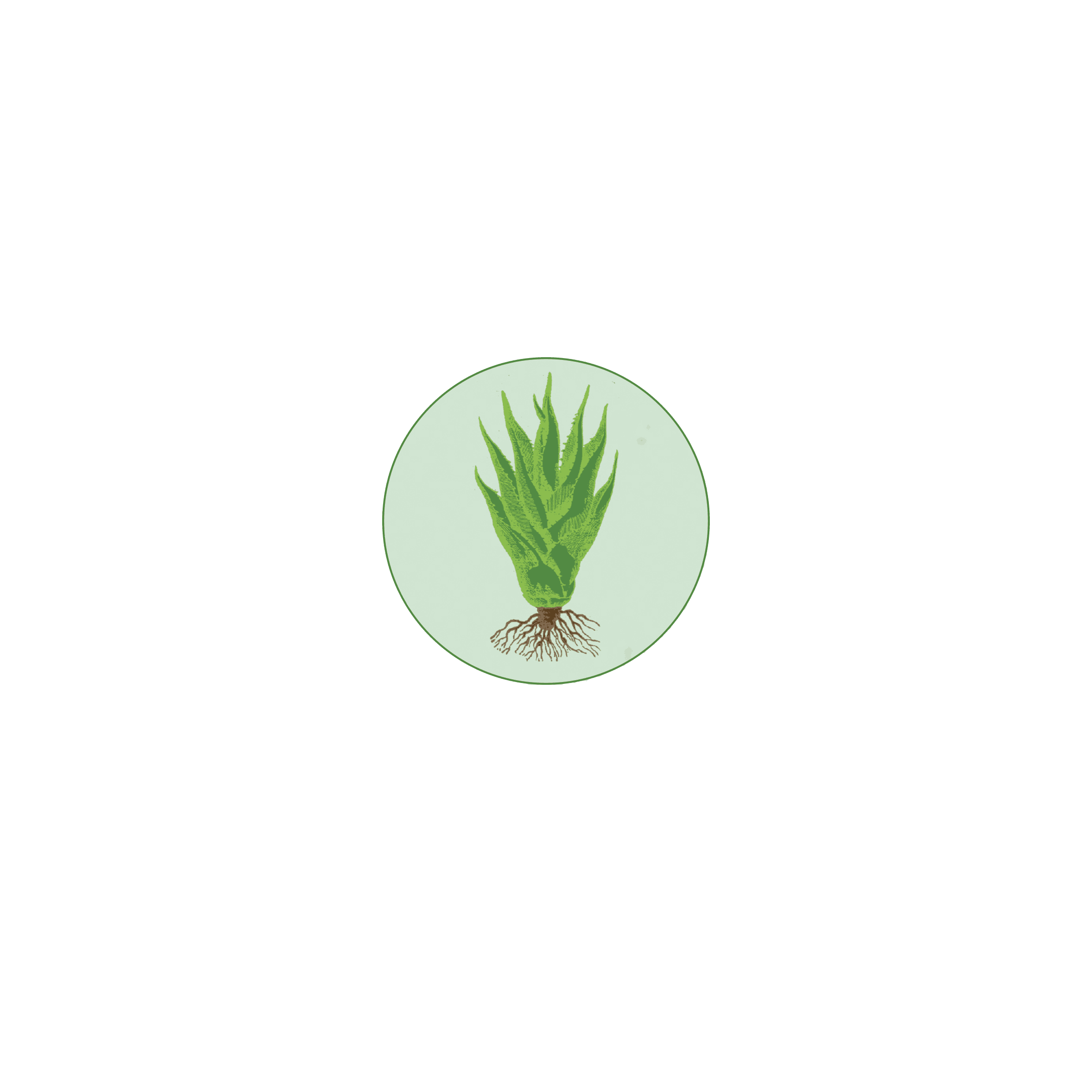 S.A.C.R.E.D. Saving Agave
