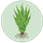 S.A.C.R.E.D. Saving Agave