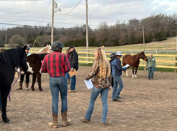 HorsePower Experiential Learning Program
