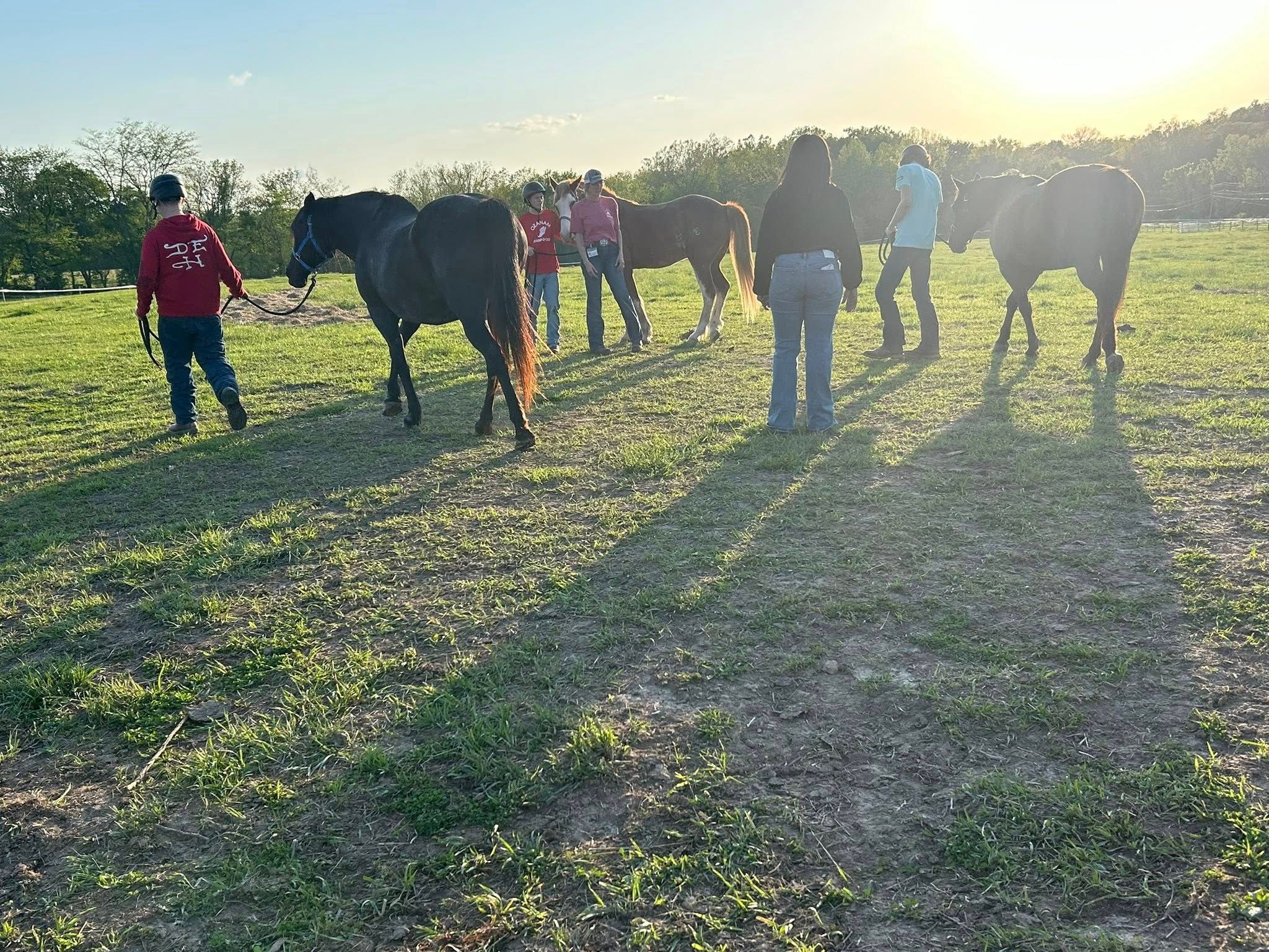 HorsePower Experiential Learning Program