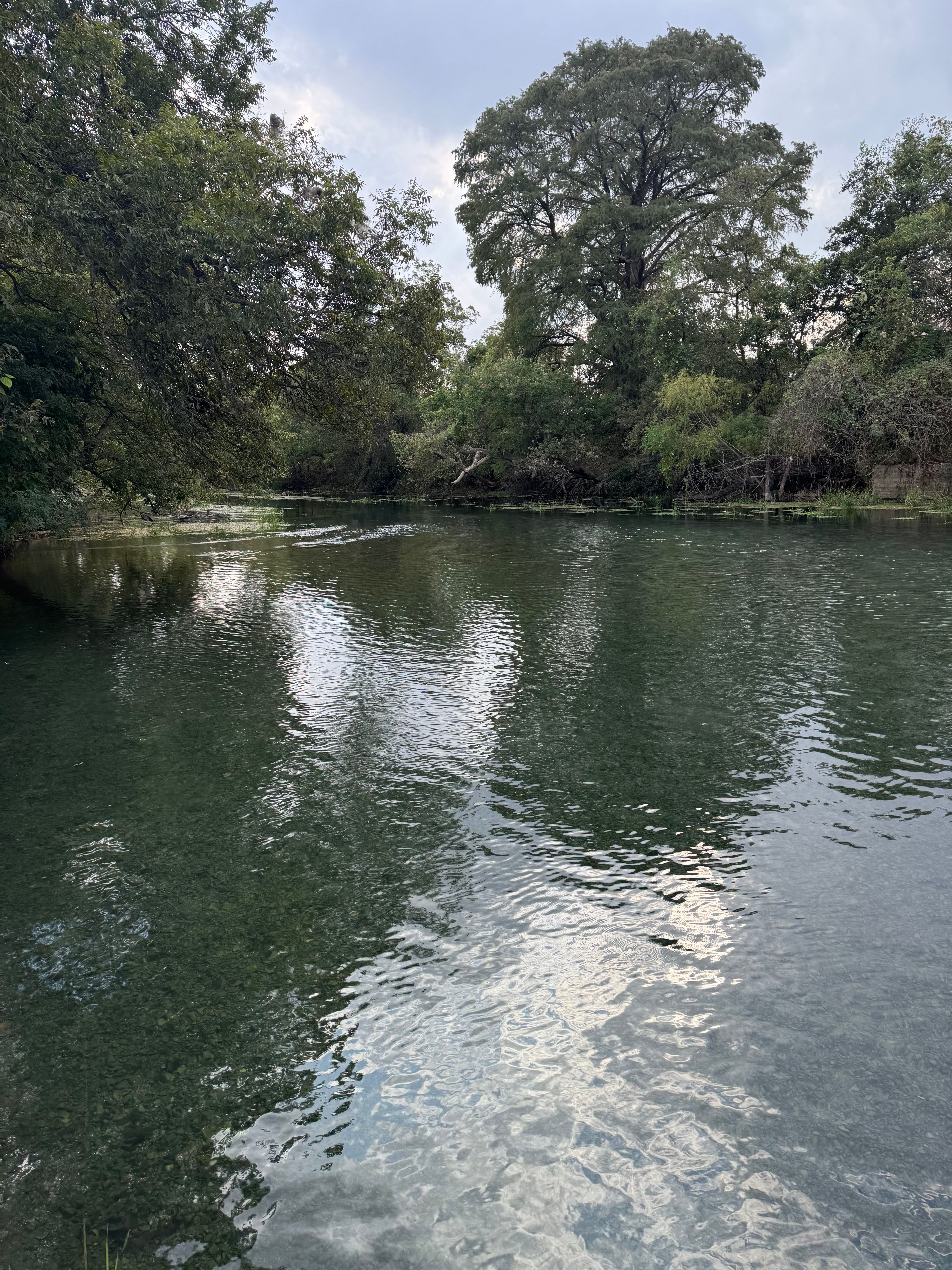 San Marcos River Foundation