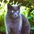 AskMrFrisky.Org