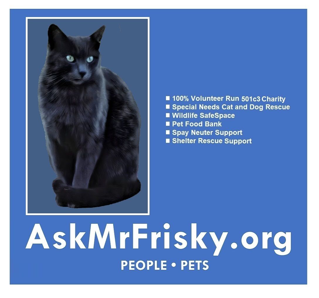 AskMrFrisky.Org