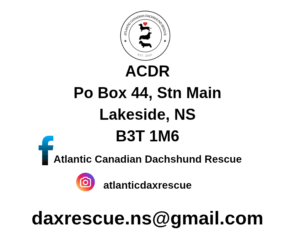 Atlantic Canadian Dachshund Rescue Society