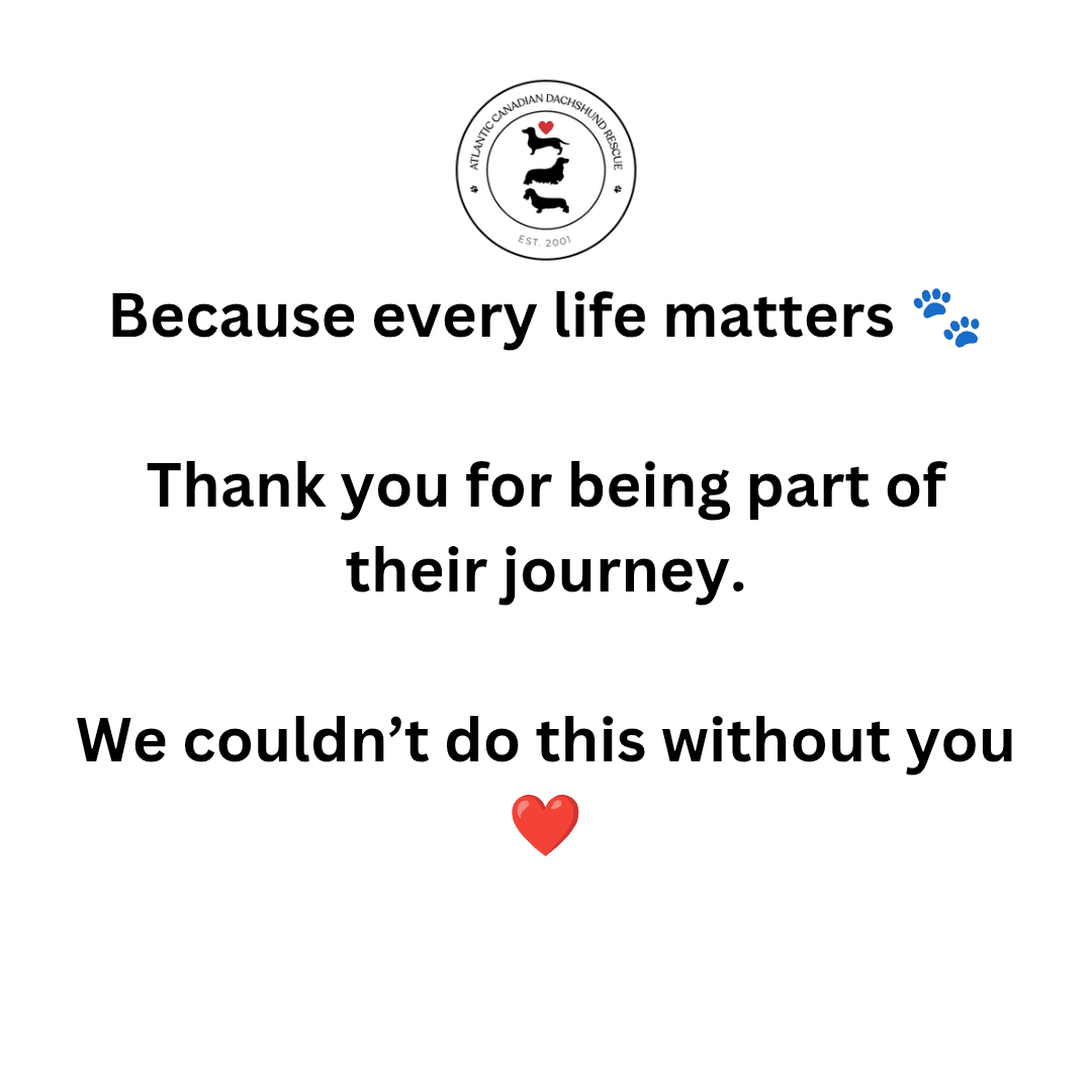 Atlantic Canadian Dachshund Rescue Society