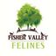 Fisher Valley Felines Inc