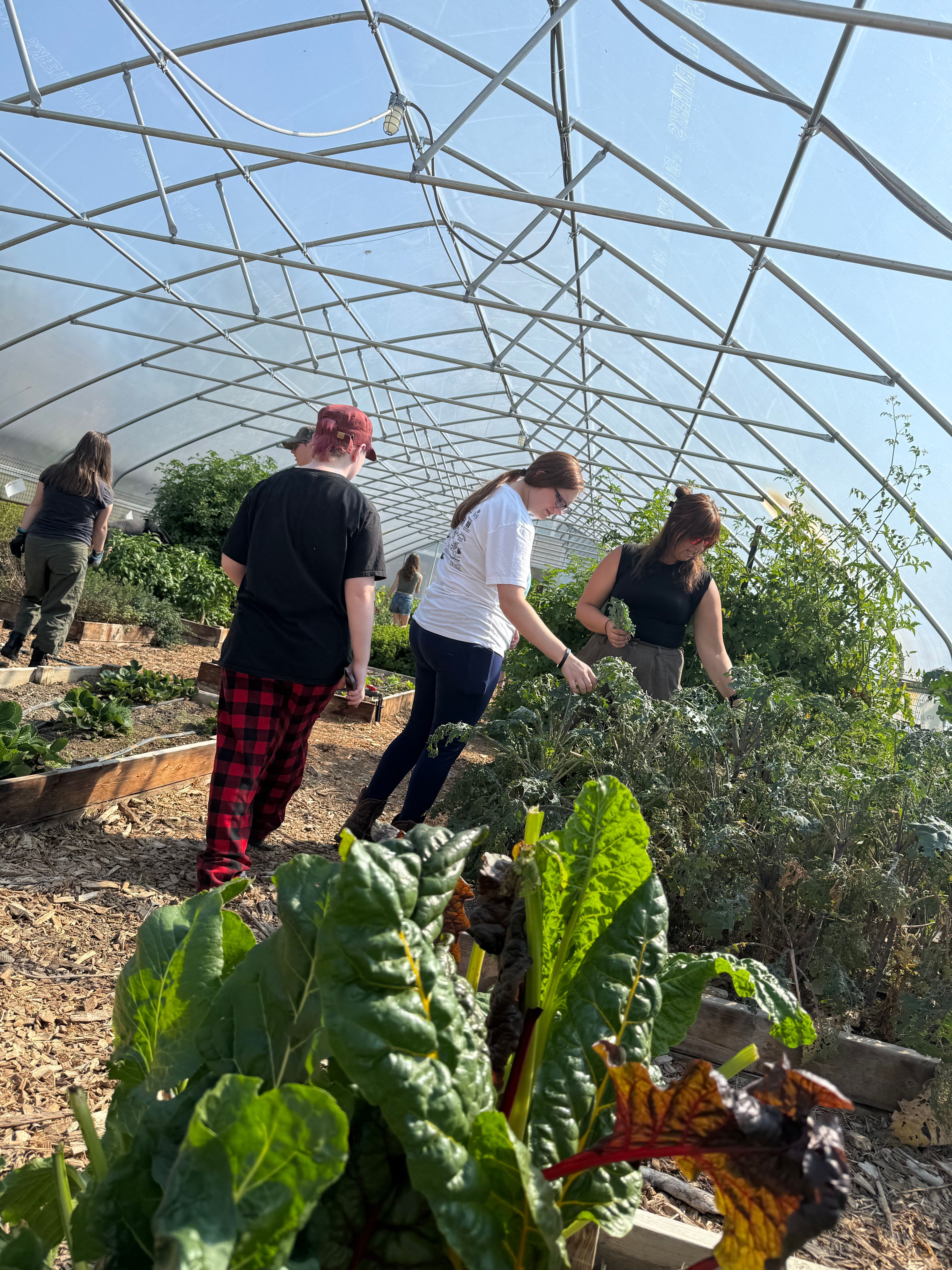 Learning 4 Life Farm