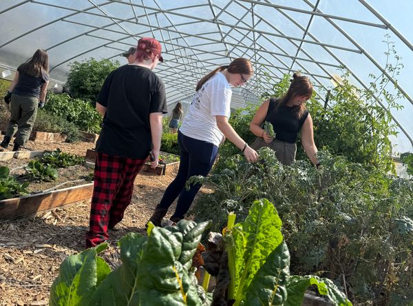 Learning 4 Life Farm