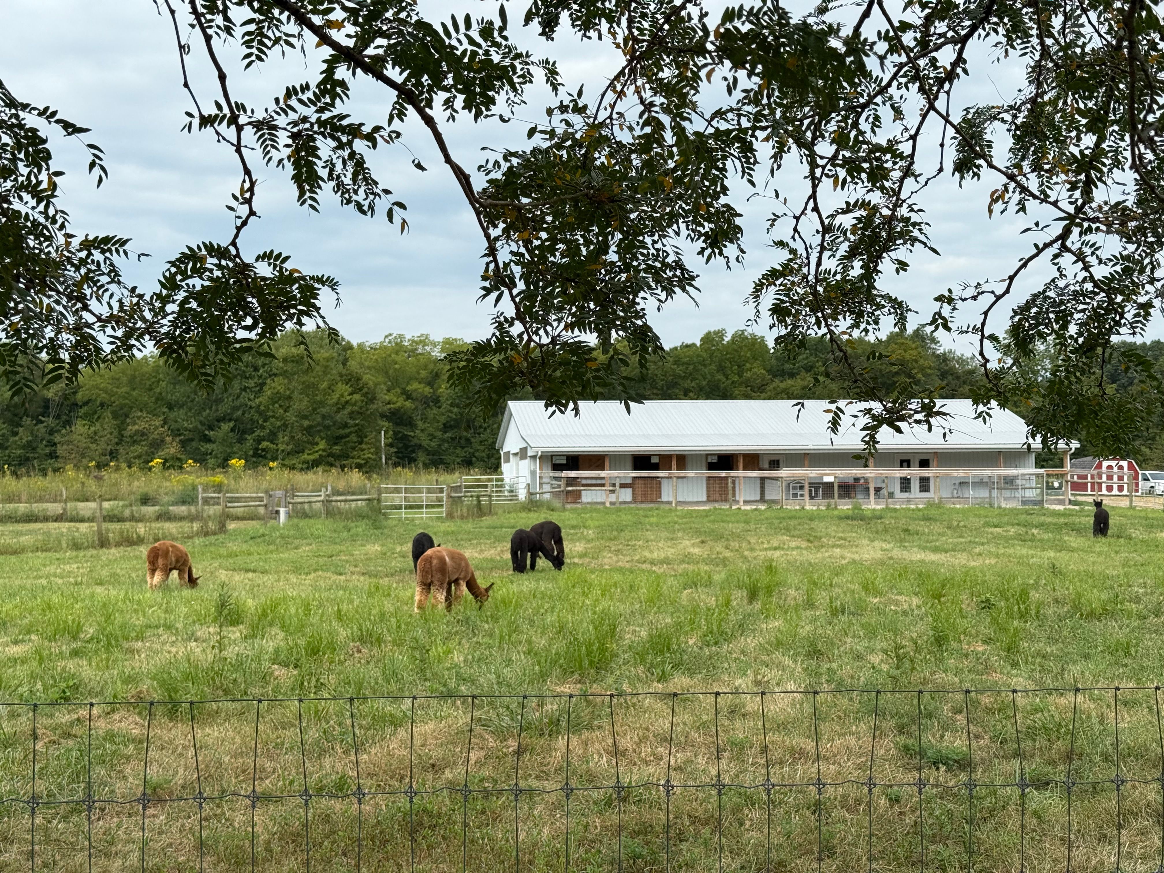 Learning 4 Life Farm