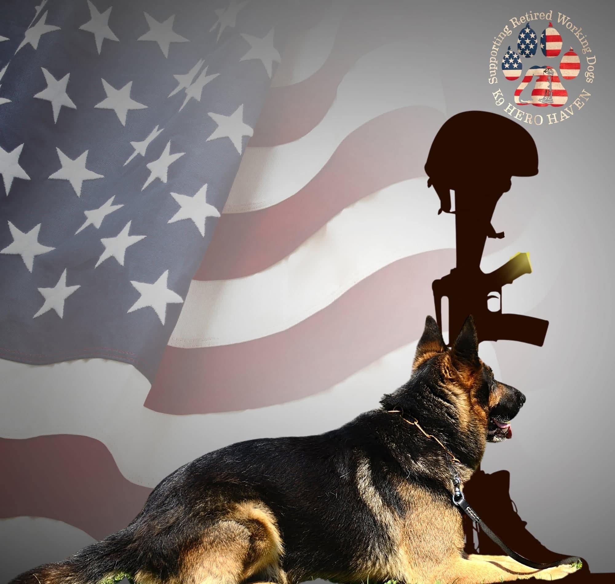 K9 Hero Haven