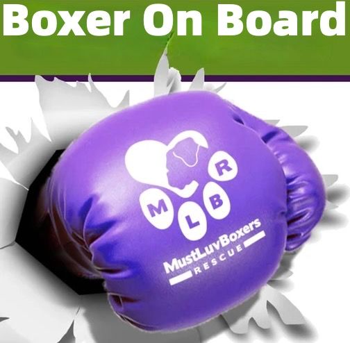 MustLuvBoxers Rescue