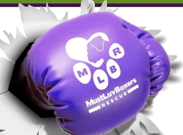 MustLuvBoxers Rescue