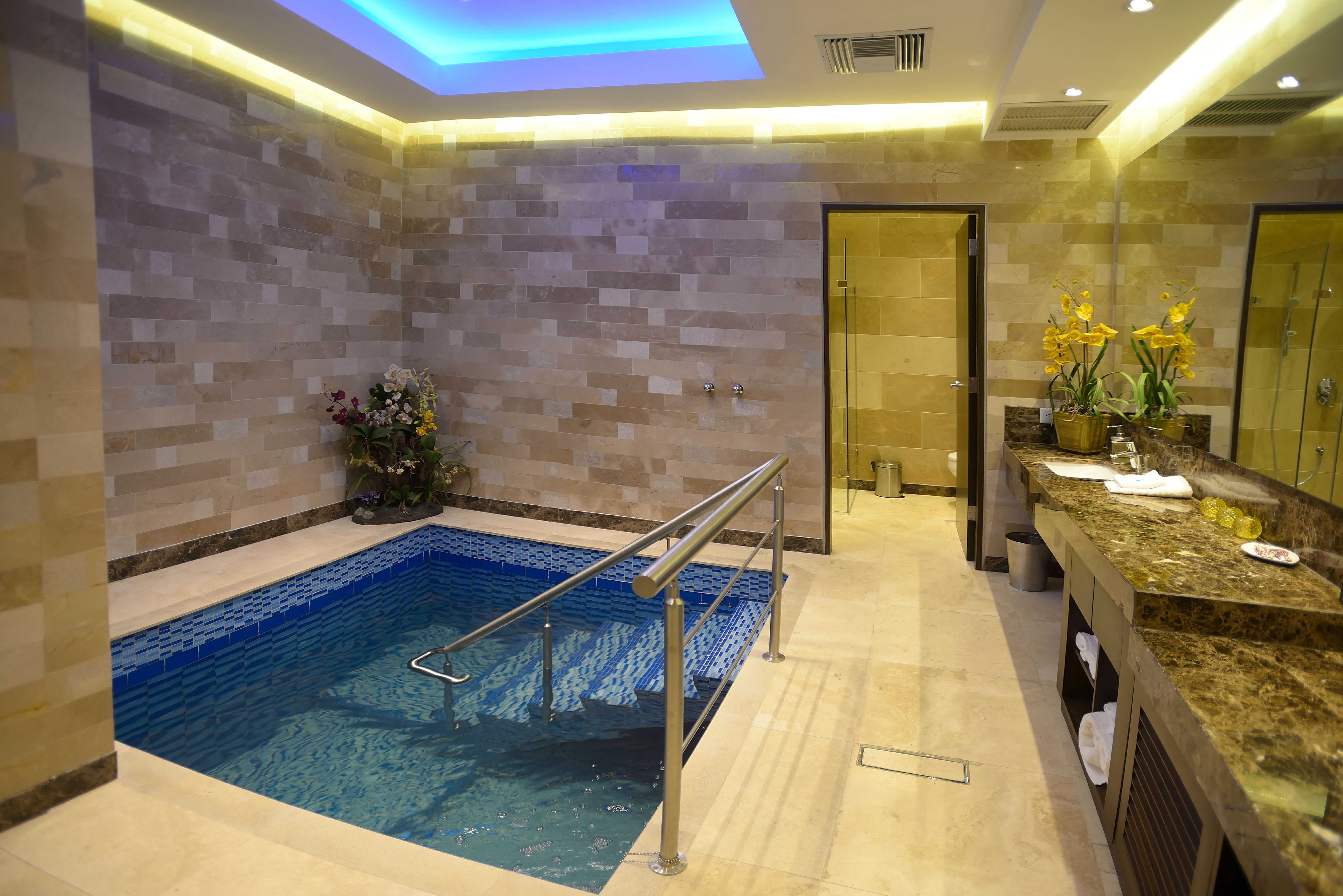 Mikvah International