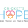 Cricket's Hope, Inc.